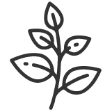 Suji Tast Food Products